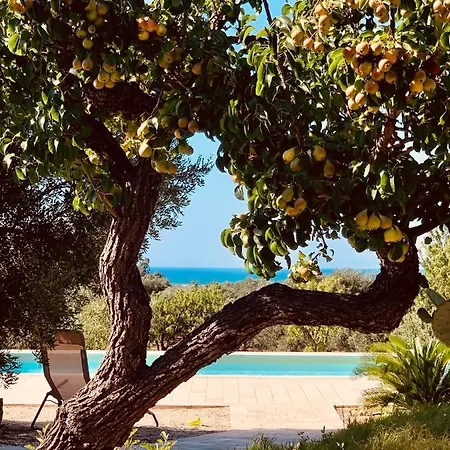 Maste Carovigno