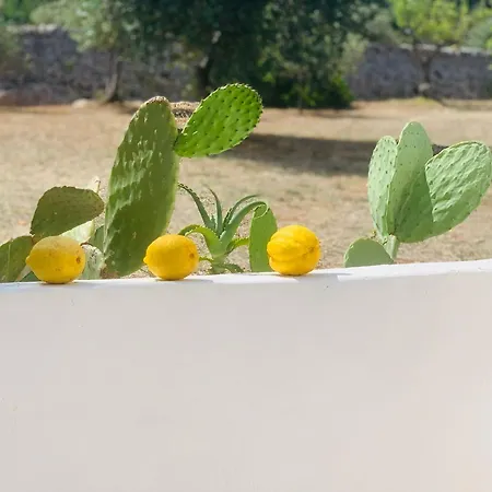 Σπίτι διακοπών Maste Carovigno